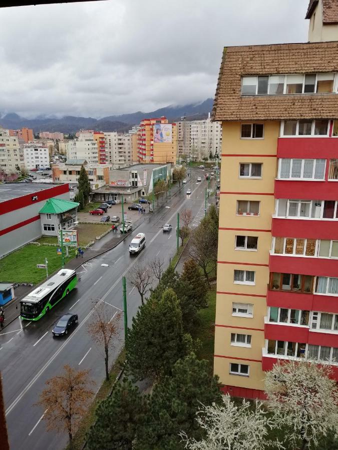 Carpatilor Residence Brasov Bagian luar foto